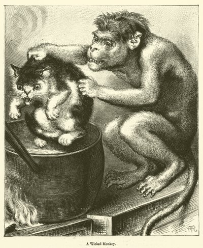 Un singe méchant - English School