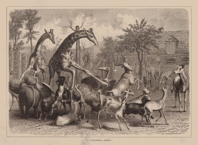 Un "Airing zoologique" (gravure) - English School