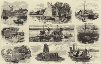 Une croisière sur les Norfolk Broads - English School