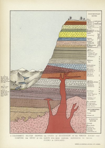 Section diagrammatique montrant l