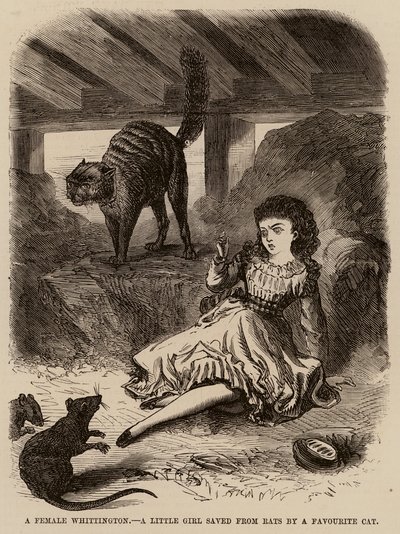 Une Whittington féminine, une petite fille sauvée des rats par un chat favori - English School