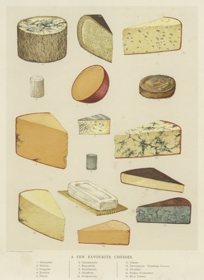 Quelques fromages favoris - English School
