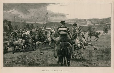 Un jeu de polo : Un coin chaud - English School