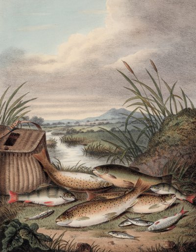 Une bonne journée de pêche - English School