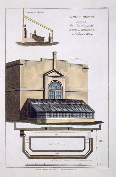 Une serre chaude exécutée pour son Altesse le Duc de Bedford à Woburn Abbey, 1806 - English School