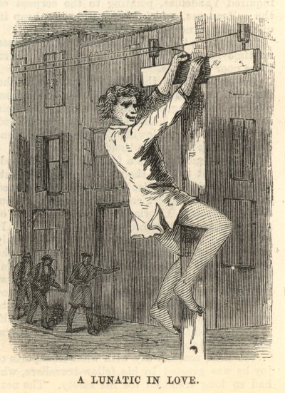 Un fou amoureux - English School