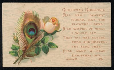 Une plume de paon et une rose, carte de vœux de Noël - English School
