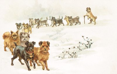 Un train de chiens dans la neige - English School