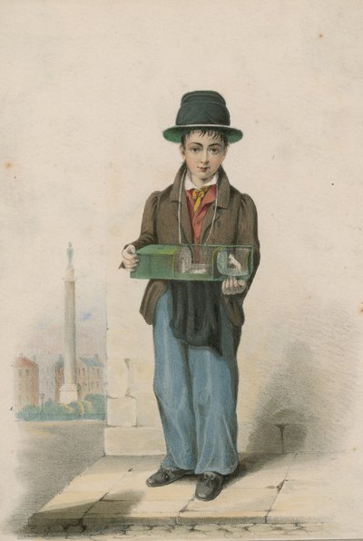 Un jeune garçon tenant une cage contenant des souris blanches - English School