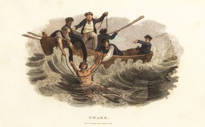 Jeune homme sauvé d