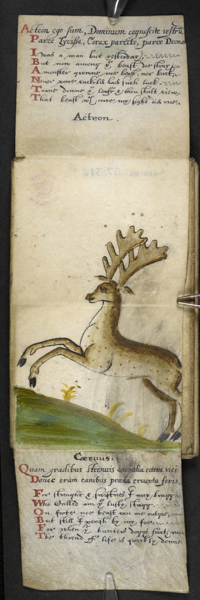 Livre de chasse - English School