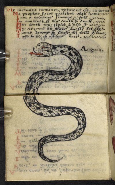Add MS 57312 f.4 Livre de chasse - English School