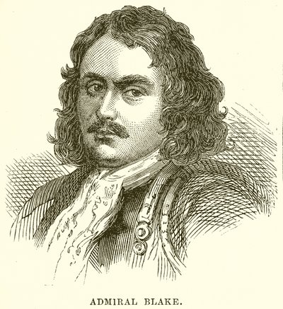 Amiral Blake - English School