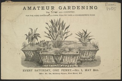 Publicité pour le périodique Amateur Gardening - English School