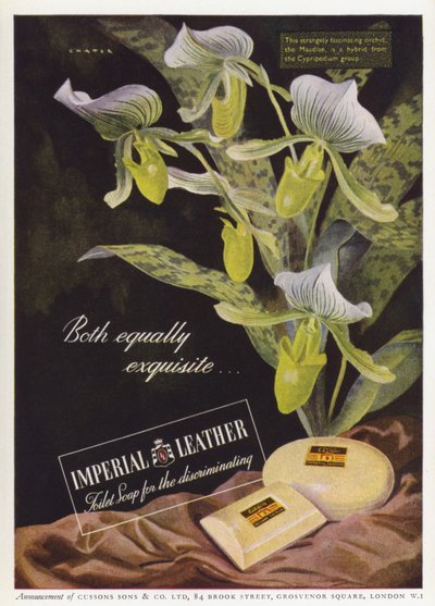 Publicité pour le savon Cussons Imperial Leather - English School