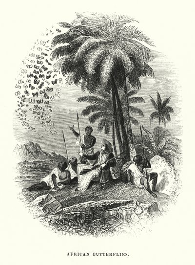 Papillons Africains - English School