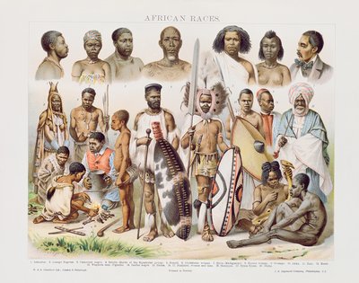 Races africaines - English School