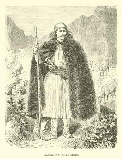 Berger albanais - English School