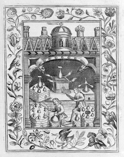 Laboratoire alchimique montrant diverses formes de fourneaux et de vaisseaux, tiré du Theatrum Chemicum Britannicum d