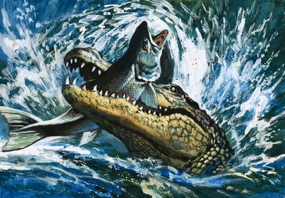 Alligator mangeant un poisson - English School
