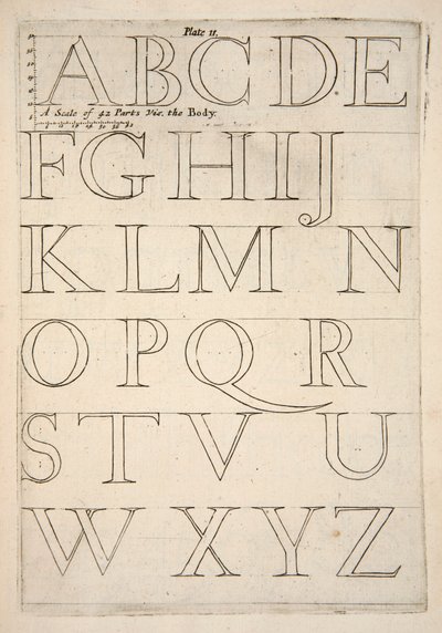 Feuille de spécimen d
