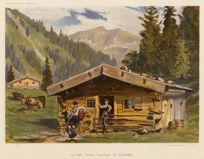 Station laitière alpine en été - English School