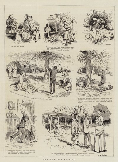 Apiculture amateur - English School