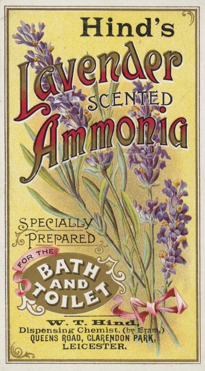 Ammoniaque, Parfum Lavande - English School