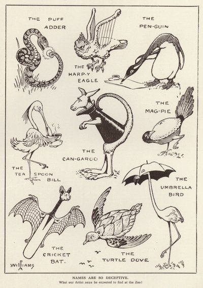 Animaux amusants - English School