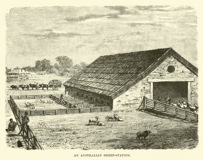Une station de moutons australienne - English School