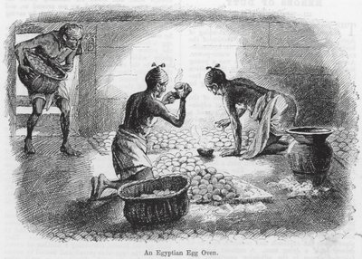 Four à œufs égyptien (gravure) - English School
