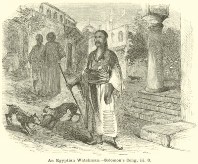 Un gardien égyptien, Cantique des Cantiques, iii, 3 - English School