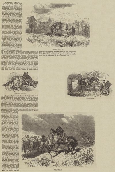 Une carrière équine (gravure) - English School