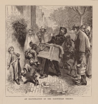 Illustration de la théorie darwinienne (gravure) - English School