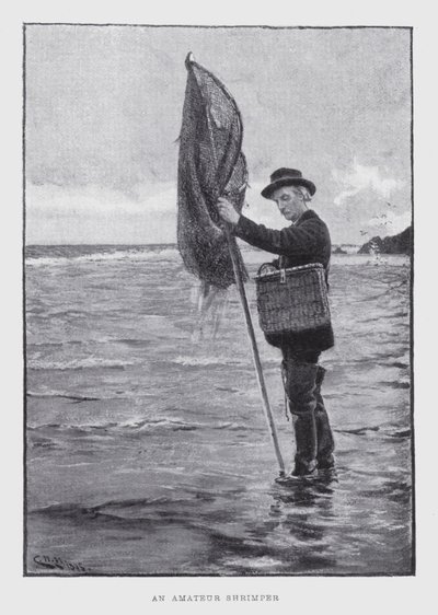 Un pêcheur amateur de crevettes (lithographie) - English School
