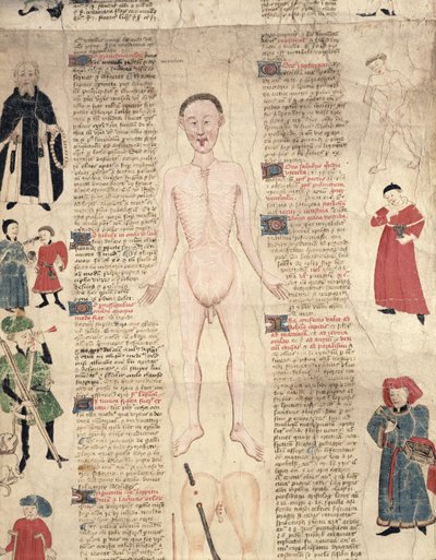 Diagramme anatomique, de De arte phisicali e de cirugia par John Ardene, 1412 - English School