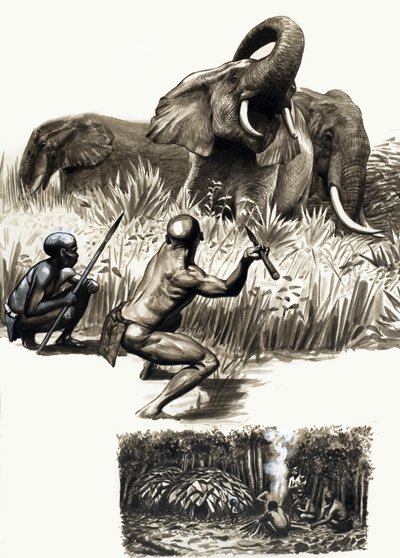 Peuples anciens du monde : petits trappeurs de la jungle - English School