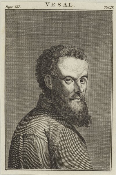 Andreas Vesalius - English School