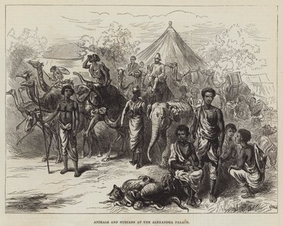 Animaux et Nubiens au palais Alexandra - English School