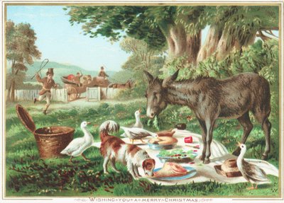 Animaux mangeant le pique-nique - English School