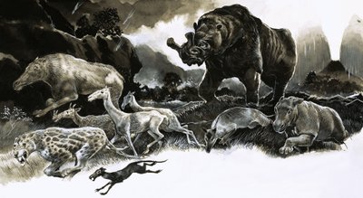 Animaux de l