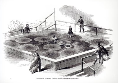 Annie Paxton sur le nénuphar Victoria regia dans la grande serre de Chatsworth, 1849 - English School