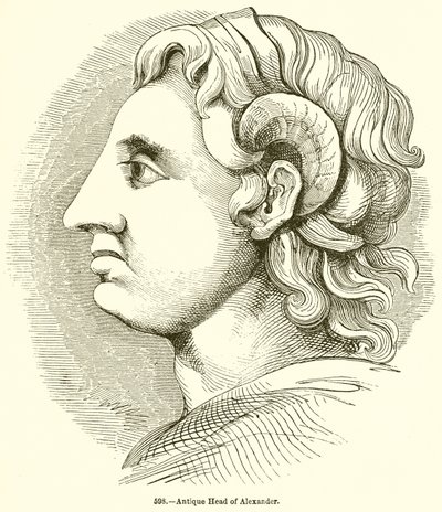 Tête antique d