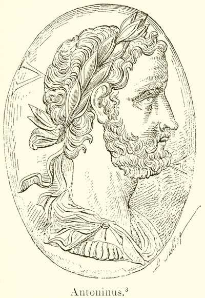 Antonin - English School