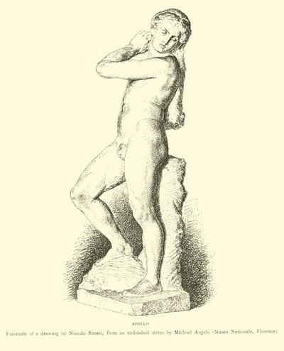 Apollon - English School