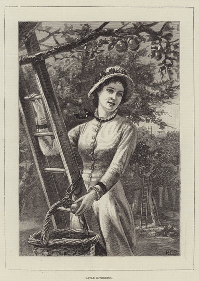 Cueillette de pommes - English School