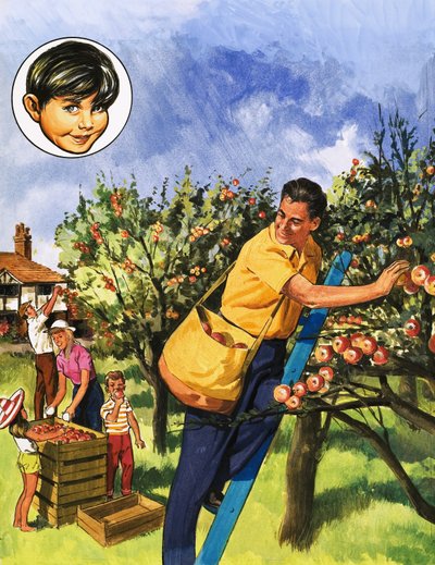 Cueilleurs de Pommes - English School