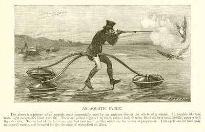 Cycle aquatique - English School