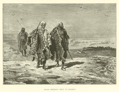 Arabes apportant des peaux au marché - English School
