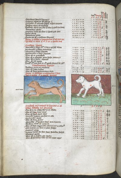 Canis major et Canis minor représentés comme des chiens, 